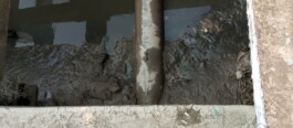 EC(H)OTONING – the urban pluriverse